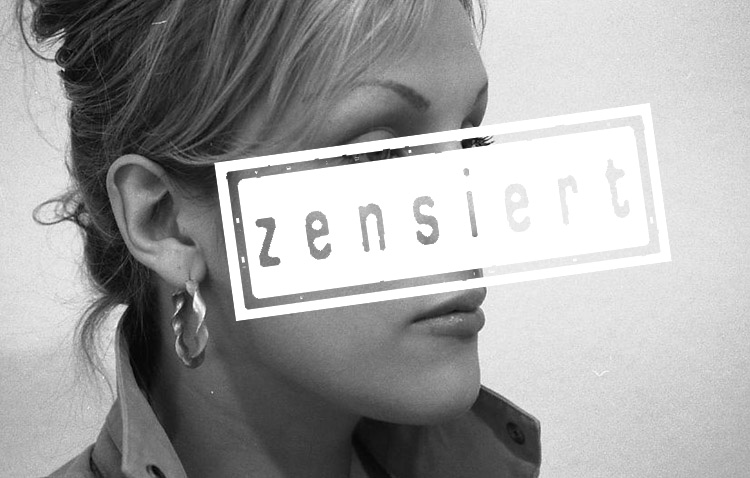 Erl&auml;uterung und Kommentar
zur Gesetzes&auml;nderung