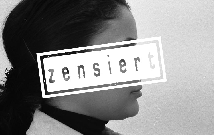 Erl&auml;uterung und Kommentar
zur Gesetzes&auml;nderung